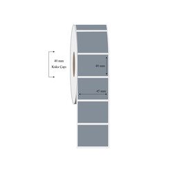 45mm x 40mm Tekli Silvermat Etiket - 