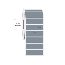 70mm x 30mm Tekli Silvermat Etiket - 