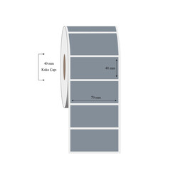 70mm x 40mm Tekli Silvermat Etiket - 